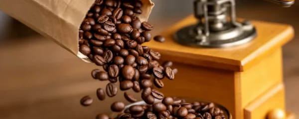 Grains de café torréfiés versés dans un moulin manuel en bois, préparation café décaféiné